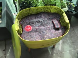 Worm farm blankets - Image 3